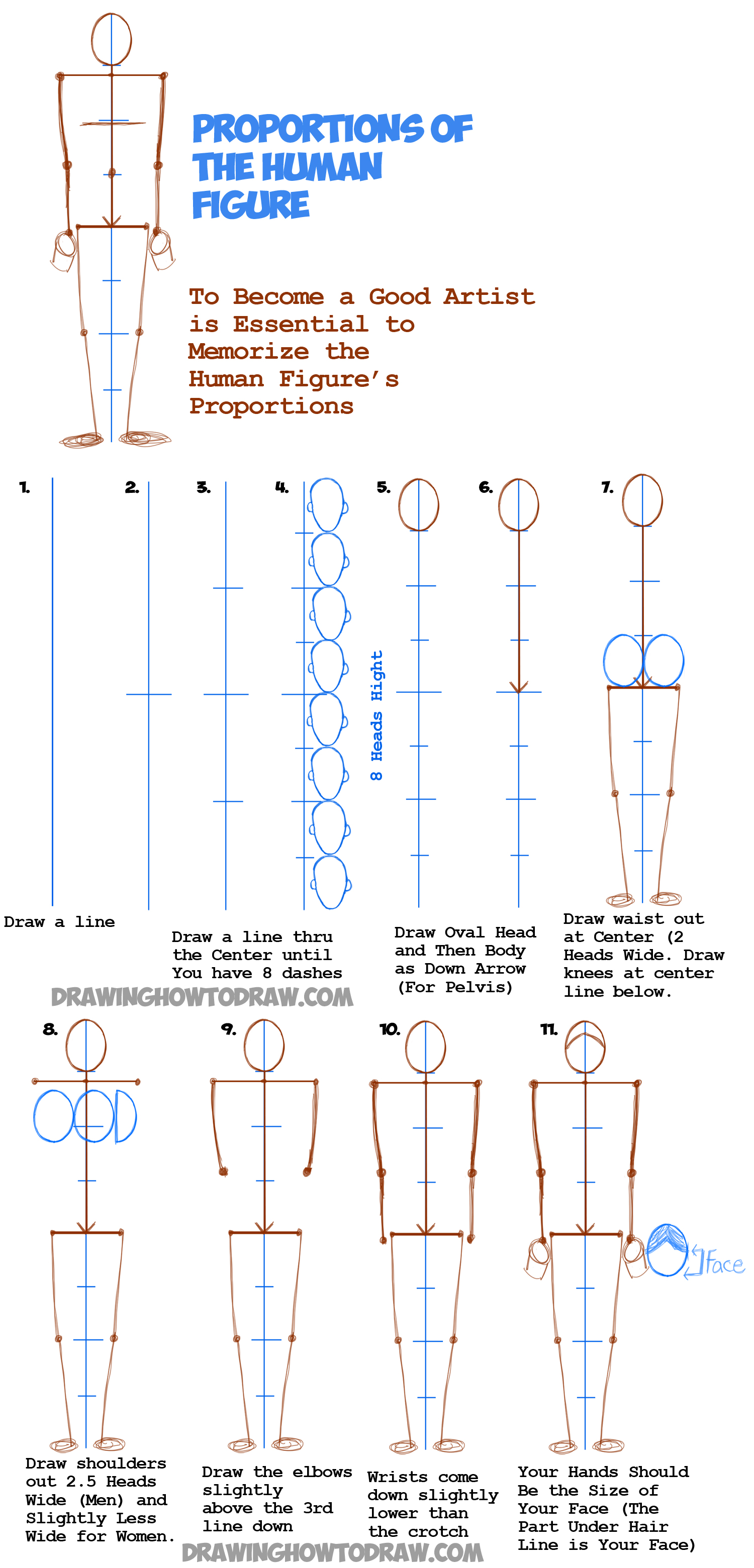 How to Draw Accurate Human Body Proportions: 8 Steps
