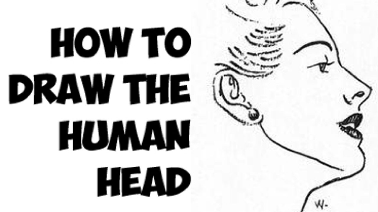 Loomis Method: Draw a Head From Any Angle