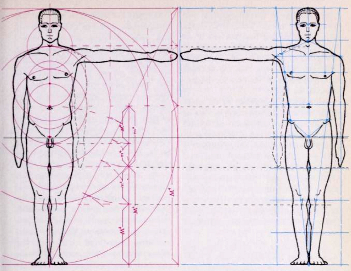 Here is a blurb from an old book that sheds light on how artists use to figure out the correct measurements and proportions of the human body.