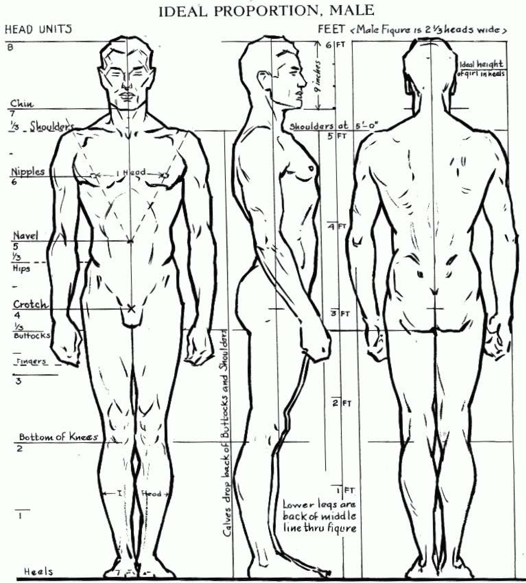 How To Draw The Male Human Body Baseballprince20