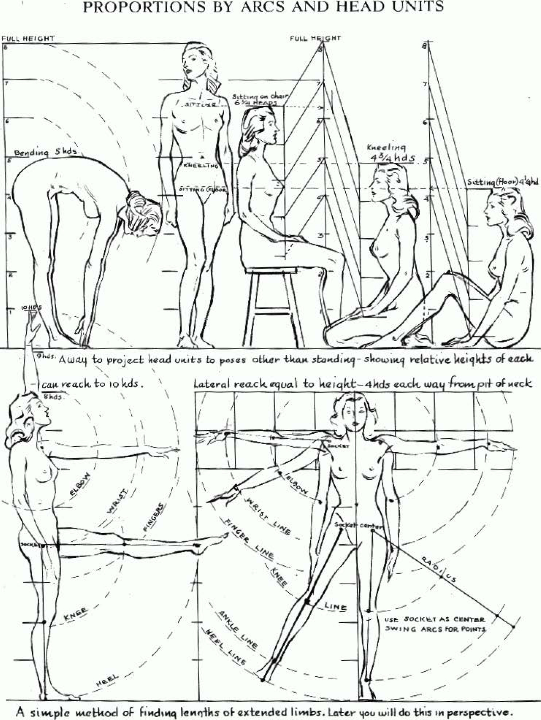 Proportions Of The Human Figure How To Draw The Human Figure In The Correct Proportions How