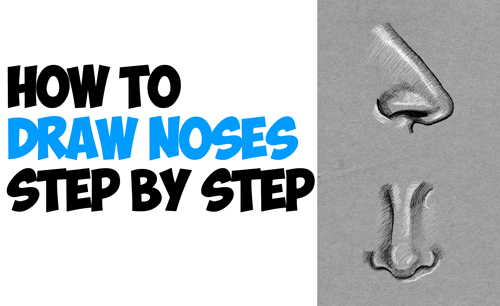 How to Draw Noses from the Side and Front View Drawing 