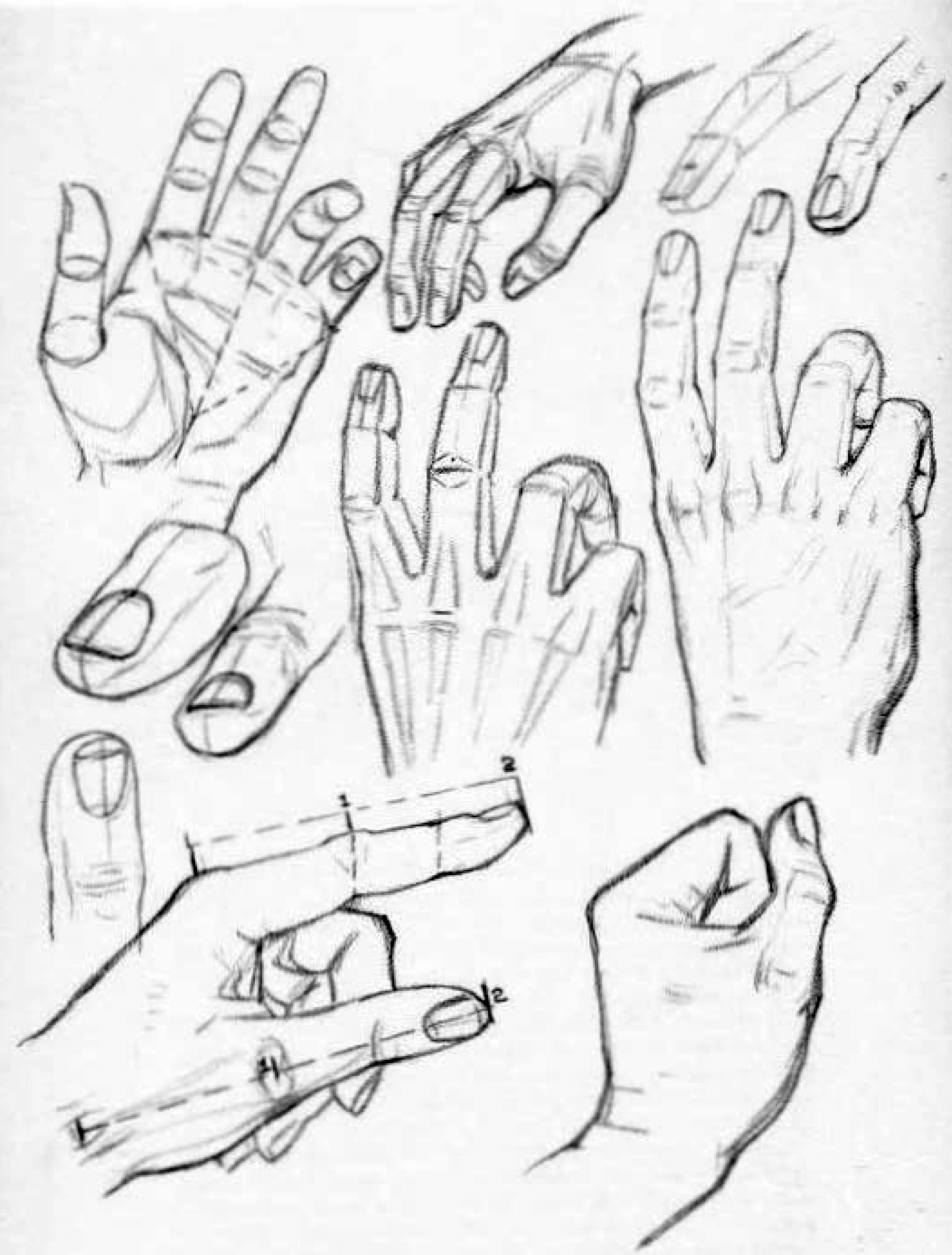 Left Hand Drawing Reference