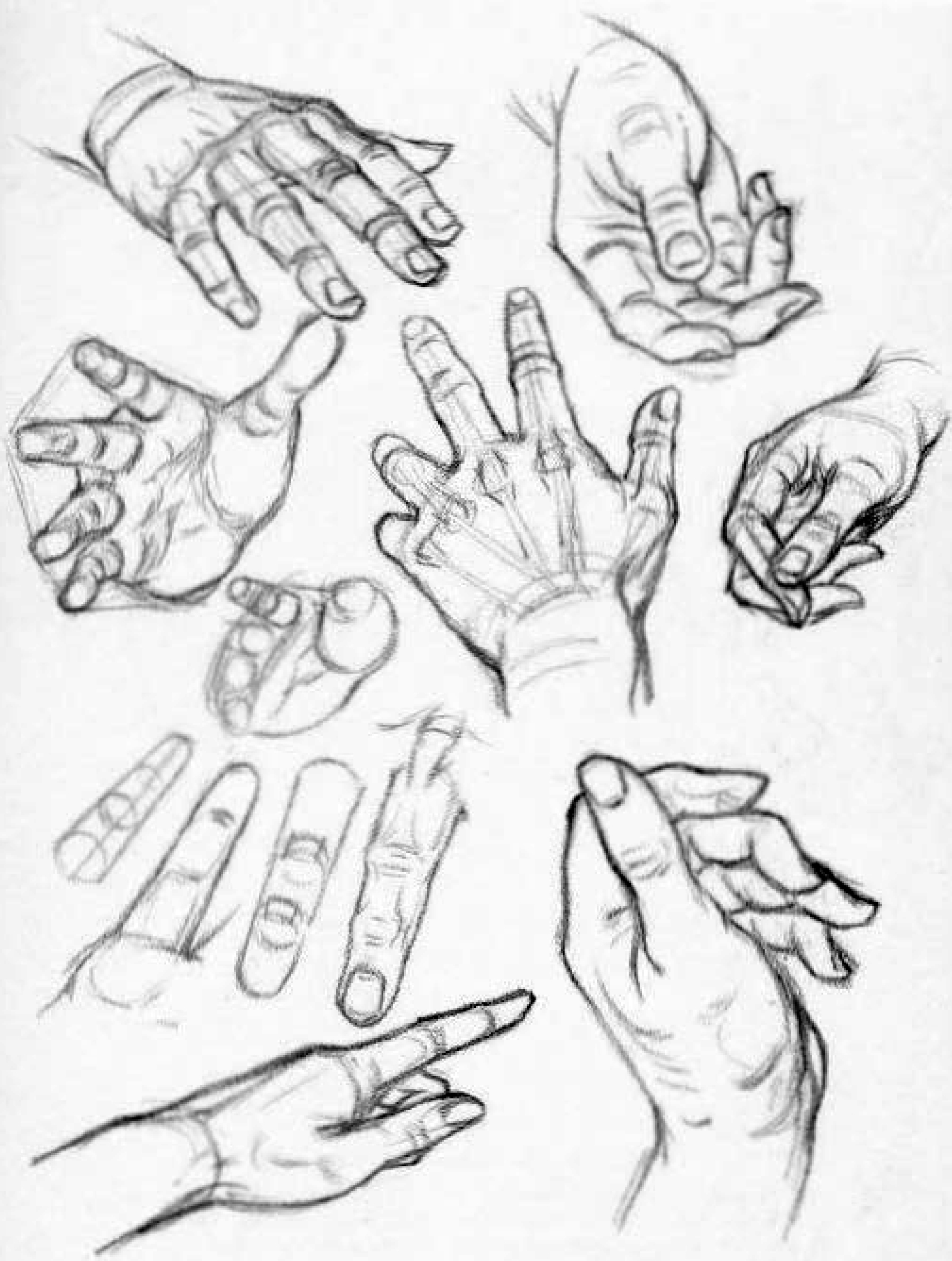 Hand Drawing Reference Guide bmpminkus
