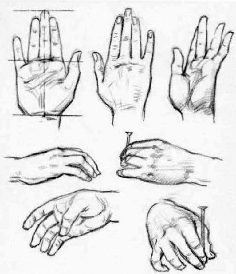 How to Draw Hands – Reference Sheets and Guides to Drawing Hands – How ...