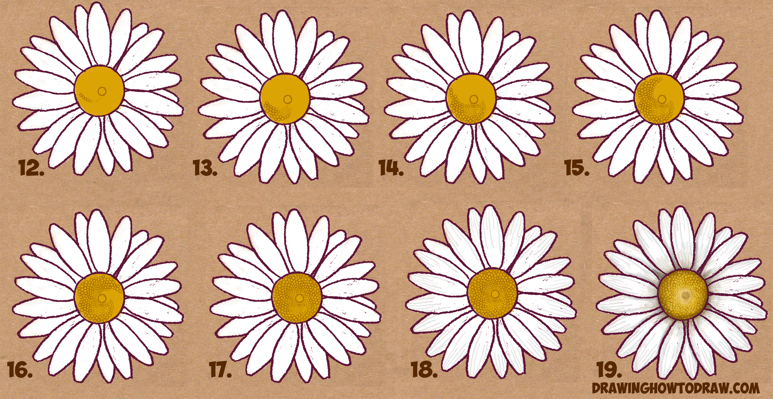 How to Draw a Daisy Flower (Daisies) in Easy Step by Step Drawing