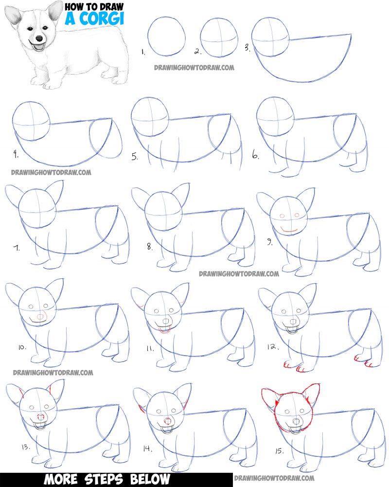 How to Draw a Corgi Puppy Easy Step by Step Realistic Drawing Tutorial ...