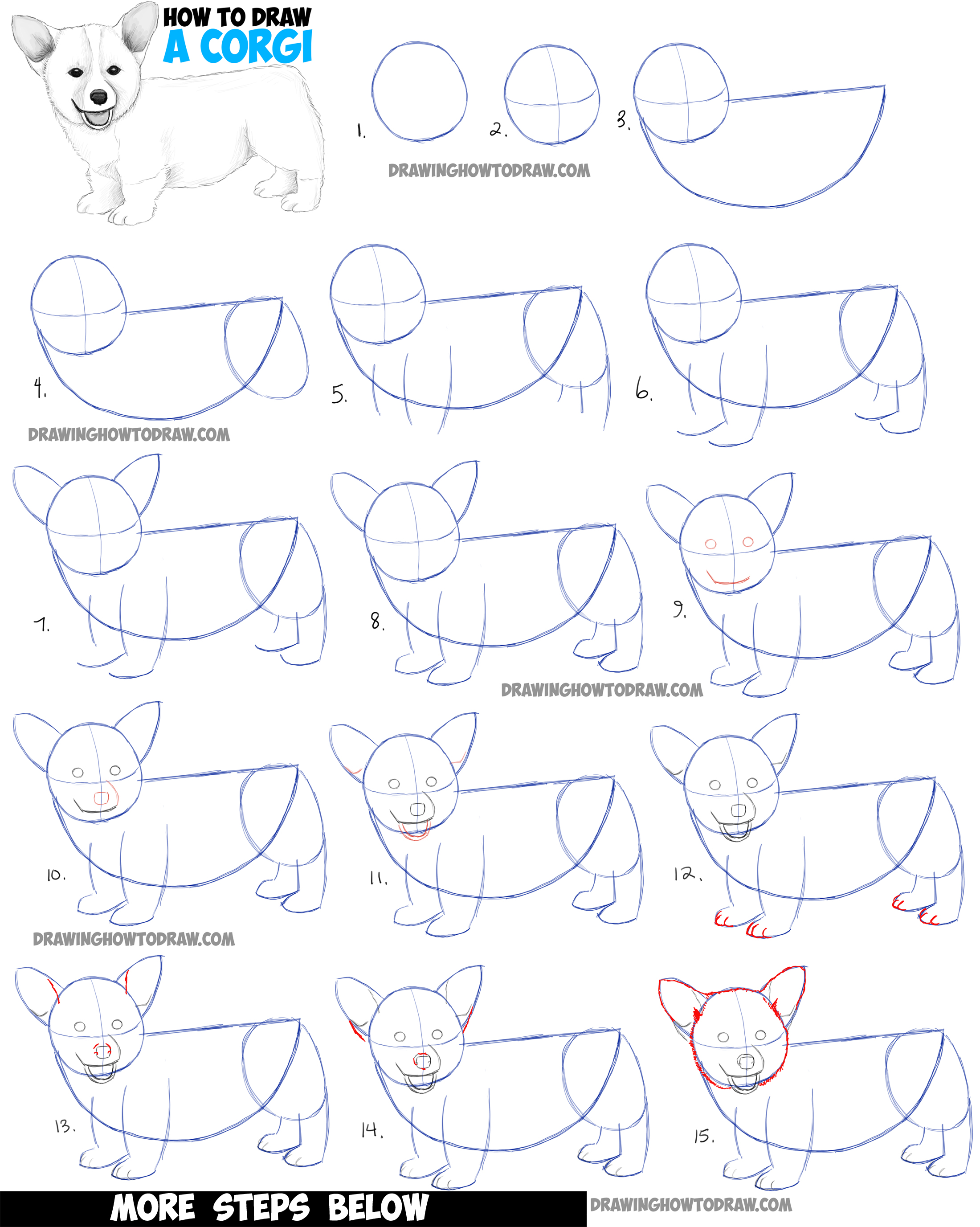 How to Draw a Corgi Puppy Easy Step by Step Realistic Drawing Tutorial ...