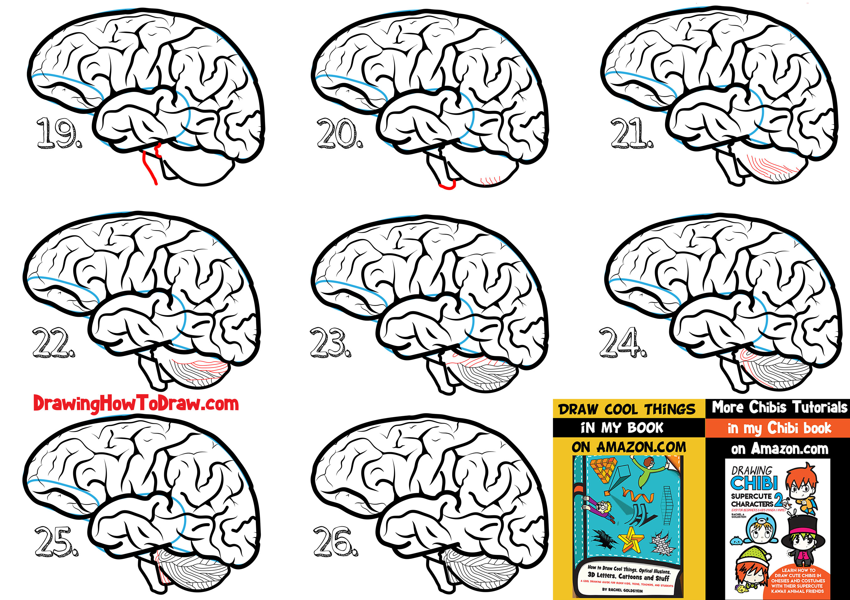 How to Draw a Human Brain - Easy Steps Drawing Lesson for Beginners