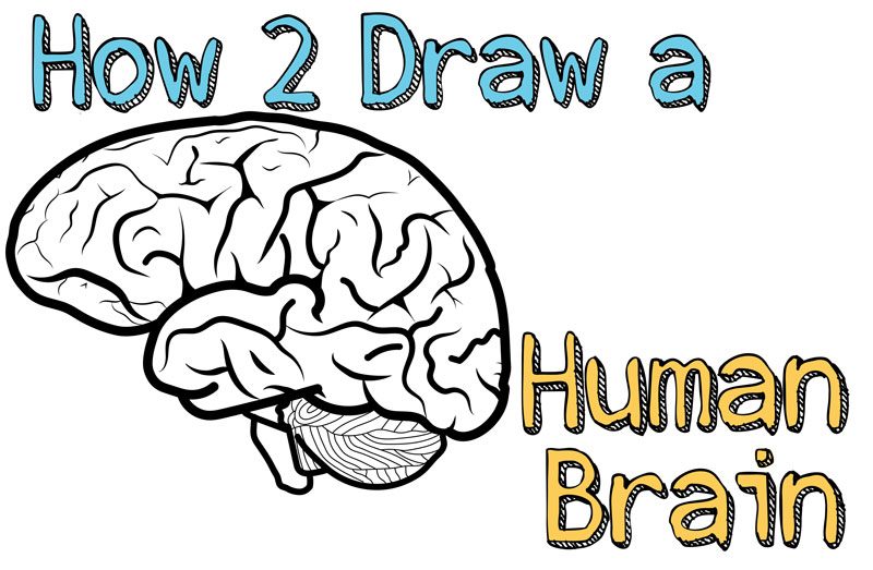 Drawing brain bulb inspiration creativity Vector Image
