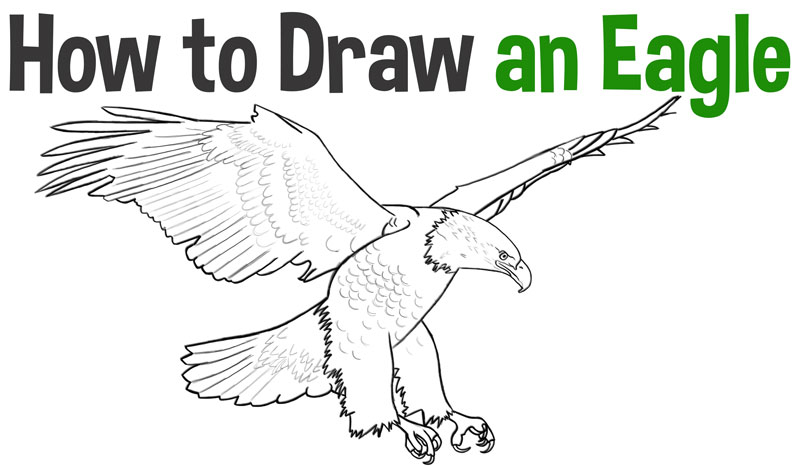 Eagle Drawing Step By Step