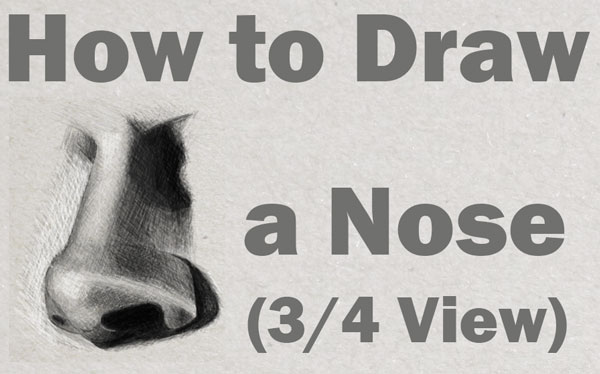 How to draw and shade realistic noses in 3/4 view