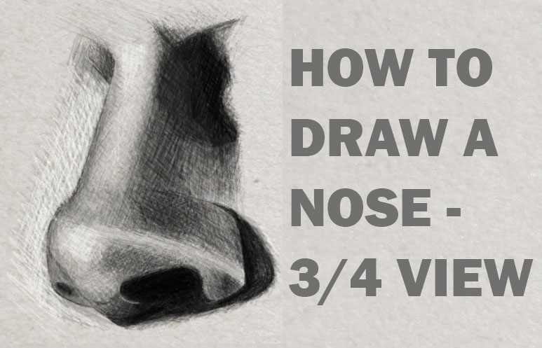 Drawing and Shading a Realistic Nose in 3/4 View in Pencil or Graphite ...