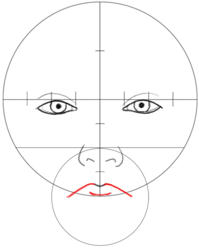 How to Draw a Face in Basic Proportions – Drawing Beautiful Female Face ...