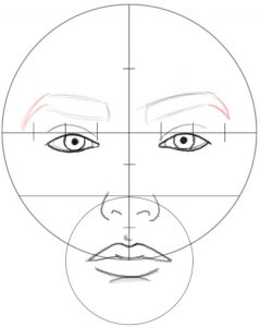 How to Draw a Face in Basic Proportions - Drawing Beautiful Female Face ...