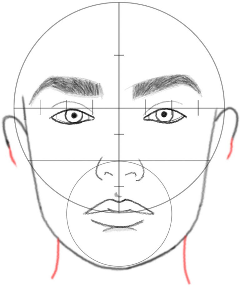 How To Draw A Face In Basic Proportions – Drawing Beautiful Female Face 