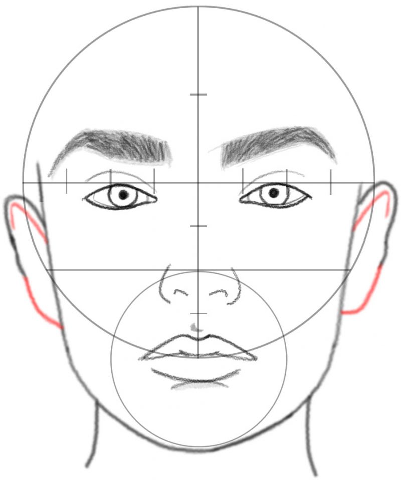 How to Draw a Face in Basic Proportions – Drawing Beautiful Female Face ...