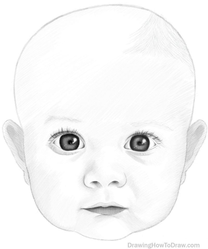 How to Draw a Baby's Face in Basic Proportions Drawing a Cute Baby