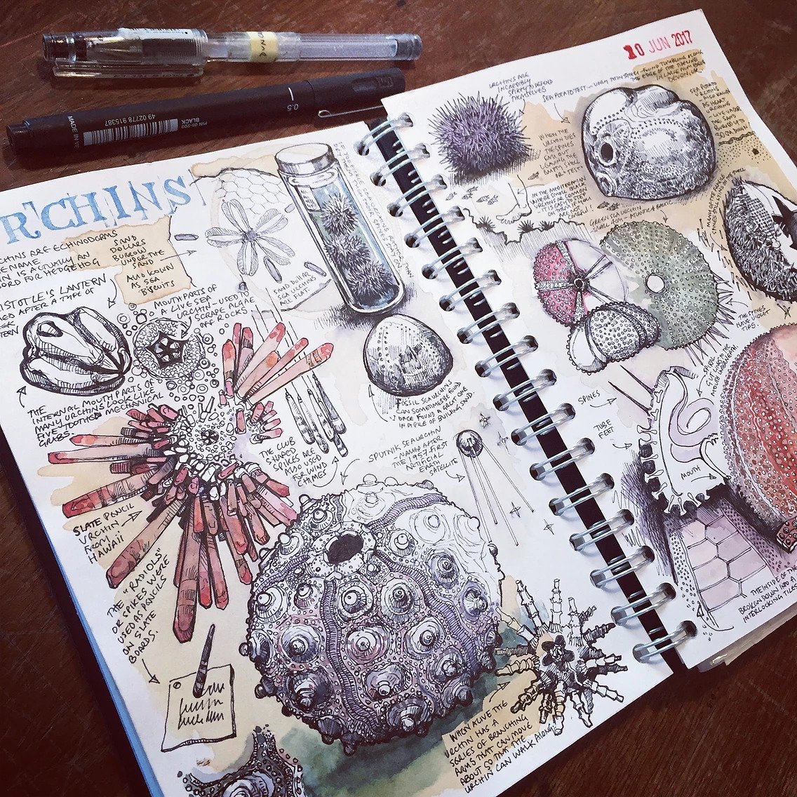 50+ Sketchbook Inspiration Examples That Will Change The Way You Use