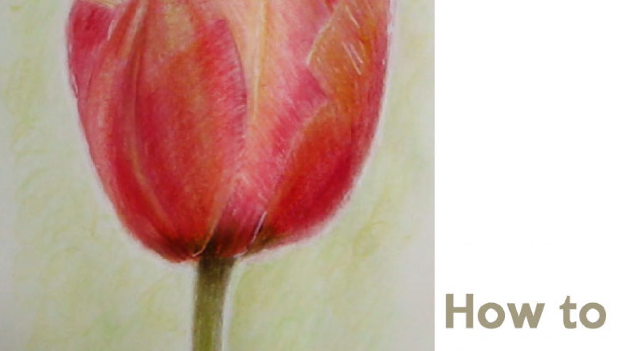 Textures and detail in colored pencils! REal-time drawing tutorial – The  Frugal Crafter Blog