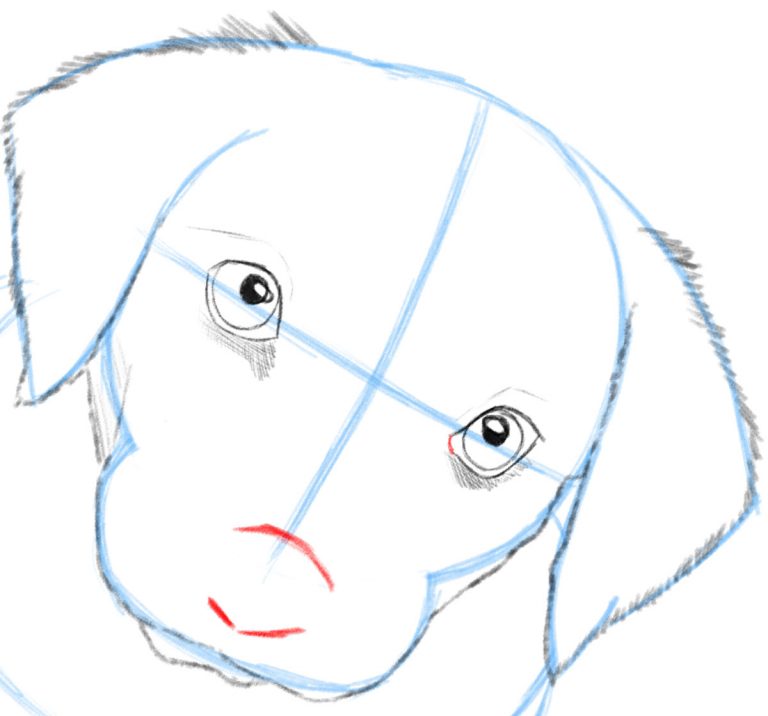 How To Draw A Dog Or Puppy Realistic Easy Step By Step Drawing