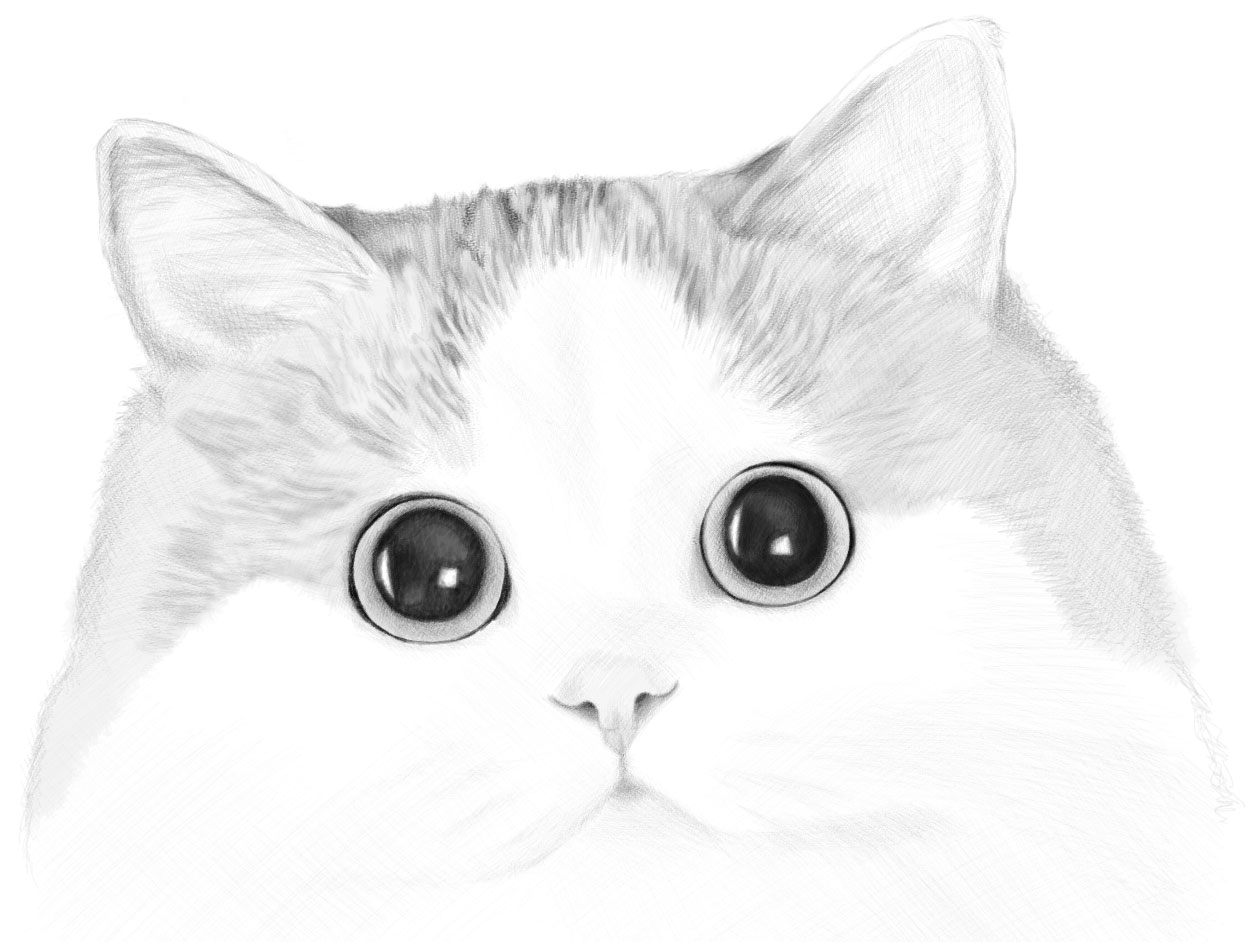 How To Draw A Cute Kitten Face - Tabby Cat Face Drawing CC - Costin  Craioveanu