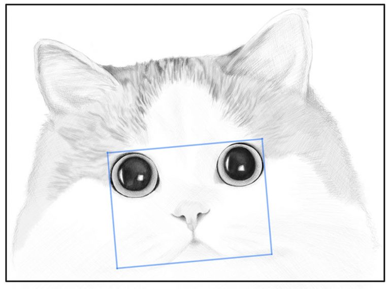 how-to-draw-a-cat-s-face-realistic-portrait-step-by-step-drawing