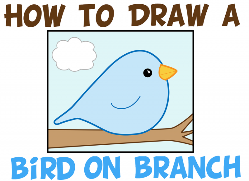 cute bird on a branch drawing
