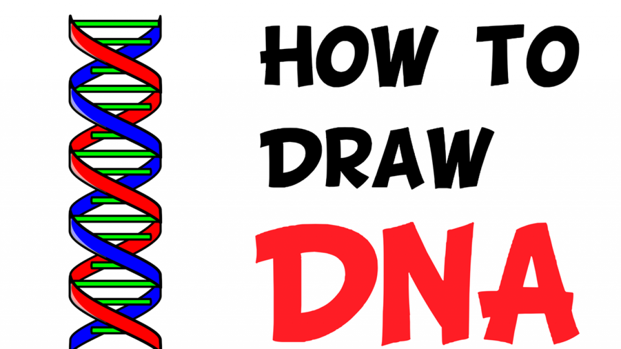 dna drawing png