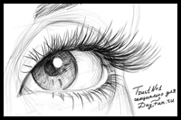 Eyelashes Drawing Lessons & Tutorials for How to Draw Eye Lashes Step ...