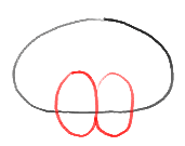 Step 2 How to Draw Squidward Tentacles from Spongebob Squarepants