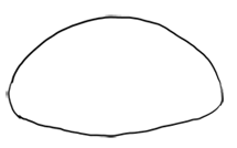 Step 1 Step by Step Drawing Lesson : How to Draw Venusaur from Pokemon for Kids