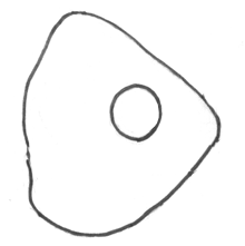 Step 2 - How to Draw a Cartoon Fish Step by Step Drawing Tutorial for Kids Step 2 - How to Draw a Cartoon Fish Step by Step Drawing Tutorial for Kids