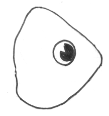 Step 3 How to Draw a Cartoon Fish Step by Step Drawing Tutorial for Kids Step 3 How to Draw a Cartoon Fish Step by Step Drawing Tutorial for Kids