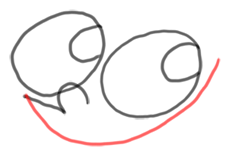 Step 3 How to Draw Timmy Turner from Fairly Odd Parents : Step by Step Drawing Lesson Step 3 How to Draw Timmy Turner from Fairly Odd Parents : Step by Step Drawing Lesson