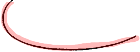 Step 1 How to Draw Cartoon Pigs Drawing lesson