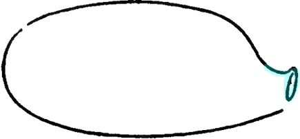 Step 2 How to Draw Cartoon Pigs Drawing lesson