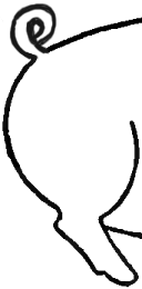 Step 4 How to Draw Cartoon Pigs Drawing lesson