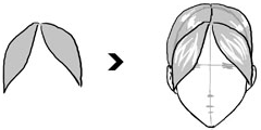 Step 5 How to Draw Anime / Manga Hair Sytles with Drawing Tutorials