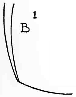 07-drawing-butterflies