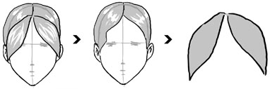 Step 5 How to Draw Anime / Manga Hair Sytles with Drawing Tutorials