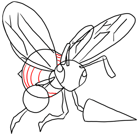 Step 14 How to Draw Beedril from Pokemon : Step by Step Drawing Lesson