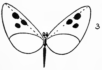 15-drawing-butterflies