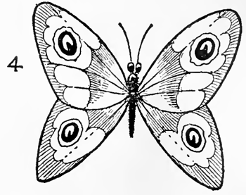 21-drawing-butterflies-finished
