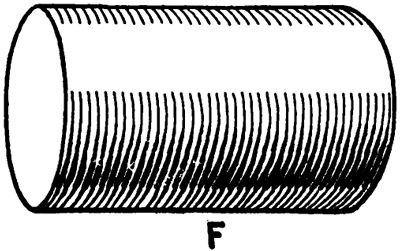 F the lines composing them conform to the perspective shape of the cylinder instead of ignoring it