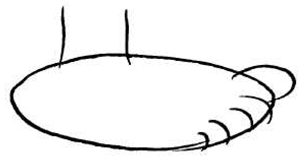 Step 2 Cartooning Comic Feets & Hands with Easy Drawing Lessons