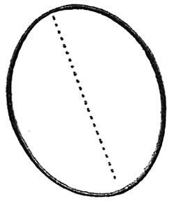 Step 1 Woody Woodpecker Step by Step Drawing Tutorial