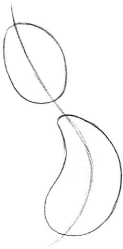 Step 2 Drawing Cartoon Boxing Bunny Character Tutorial