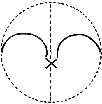 Step 3 How to Draw Pansies with Step by Step Pansy Drawing Tutorial