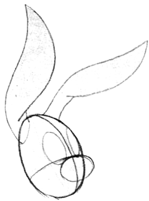 Now draw the bunny rabbit's head